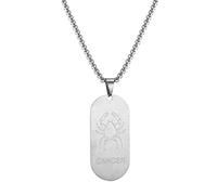 AFSTALR Collier Signe Astrologique Cancer Pendentif Argent Zodiaque Collier Cadeau de Noël Hommes