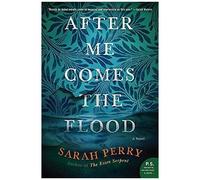 After Me Comes The Flood
