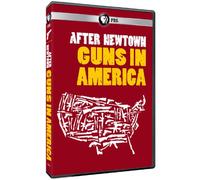 After Newtown: Guns in America