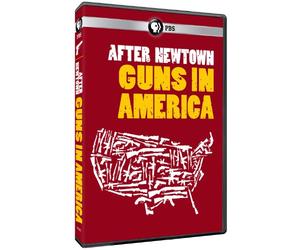 After Newtown: Guns in America