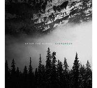 After The Burial
