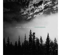 After the Burial Evergreen (Vinyl) 12" Album