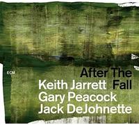 After The Fall