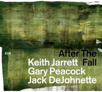After The Fall