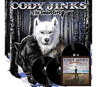 Cody Jinks – After the Fire / The Wanting – Vinyle 12" Album