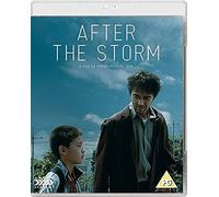 After The Storm [Edizione: Regno Unito] [Blu-Ray] [Import]