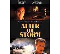 After The Storm [Edizione: Regno Unito] [Import]