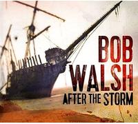 Bob Walsh - After The Storm [Import]