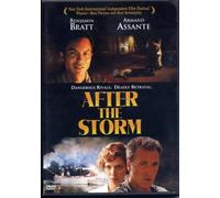 After the Storm [Import USA Zone 1]