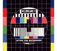 After The Watershed (Early Learning The Hard Way)