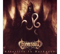 Afterlife in Darkness