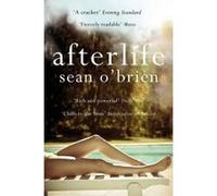 Afterlife - [Version Originale] Sean O,brien (Auteur)