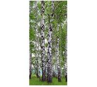 AG ART Birch's wood, intissé photo mural, 90 x 202 cm, 1 part Multicolors G