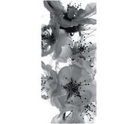 AG ART Black and white flower, intissé photo mural, 90 x 202 cm, 1 part Multicolors G