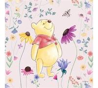 AG ART Coussin - Disney Winnie l'ourson 40x40 cm Multicolors G