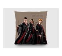 AG ART Coussin - Harry Potter avec Hermione et Ron - 40x40 cm Multicolors