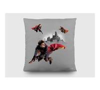 AG ART Coussin - Harry Potter sur son balais - 40x40 cm Multicolors