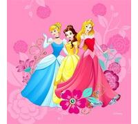 AG ART Coussin Princesses 2 faces Disney 40x40 cm Multicolors G
