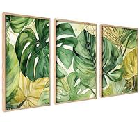 ag.art deco Affiche Decoration Murale con Cadre 50x70 cm | Affiche Murale con Cadre en Bois | Poster Mural pour Salon et Chambre à Coucher | Lot de 3 Tableaux (Ensemble Monstera)