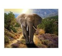 AG ART Elephant, photo murale intissée, 155x110 cm, 1 part Multicolors G