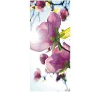 AG ART Flowers in the sun, intissé photo mural, 90 x 202 cm, 1 part Multicolors G