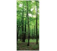 AG ART Forest, intissé photo mural, 90 x 202 cm, 1 part Multicolors G