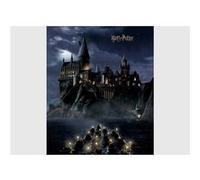 AG ART Papier peint Harry Potter Poudlard dans la nuit 225 x 270 cm - 3 lés Multicolors G