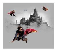 AG ART Papier peint Harry Potter Quidditch 3 personnages 225 x 270 cm - 3 lés Multicolors G