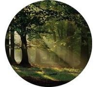 AG ART Papier peint intissé auto-adhésif rond Thème Forêt magique - 70 x 70 cm Multicolors G