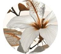 AG ART Papier peint intissé auto-adhésif rond Thème Lily - 140 x 140 cm Multicolors G