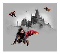 AG ART Papier peint intissé Harry Potter Quidditch 3 personnages - 300 x 270 cm - 4 lés Multicolors G