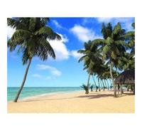 AG ART Photo mural intissé plage des tropiques 360x270 cm, 4 parts Multicolors G