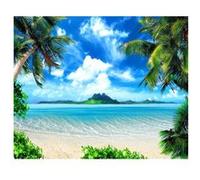 AG ART Photo murale intissée plage tropicale palmier mer turquoise et ile , 360x270 cm, 4 parts Multicolors G