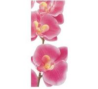 AG ART Pink orchid, intissé photo mural, 90 x 202 cm, 1 part Multicolors G