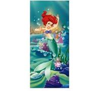 AG ART Poster porte Ariel Princesse Disney intisse 90X202 CM Multicolors G