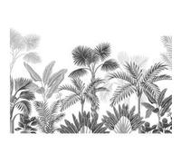 AG ART Poster Thème palmier noir et blanc - 360 x 254 cm Multicolors