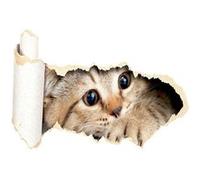 AG ART Sticker Chaton - 1 planche 42,5 x 65 cm Multicolors G