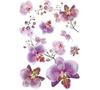 AG ART Sticker Orchidées roses et fushia - 1 planche 42,5 x 65 cm Multicolors G