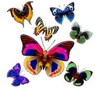 AG ART Sticker Papillons multicolore - 1 planche 30 x 30 cm Multicolors G