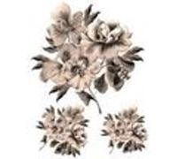 AG ART Stickers - Fleurs Marrons - 1 planche 65 x 85 cm Multicolors G