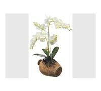 AG ART Stickers Orchidées blanches Dans une jarre - 1 planche 42,5 x 65 cm Blanc