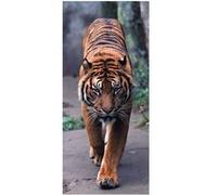 AG ART Tiger , intissé photo mural, 90 x 202 cm, 1 part Multicolors G