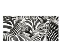 AG ART Zebras, photo murale, 202 x 90 cm, 1 part Multicolors G