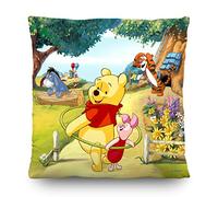 AG Design 1 Coussin avec Housse Décorative, Multicolore, 40 x 40 cm