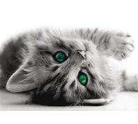 AG Design 1 Papier Peint Intissé, Multicolore, 160 x 110 cm