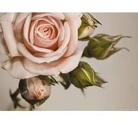 AG Design 1 Papier Peint Intissé, Multicolore, 160 x 110 cm