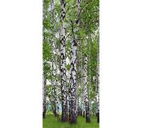 AG Design 1 Papier Peint Intissé, Multicolore, 90 x 200 cm