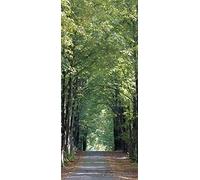 AG Design 1 Papier Peint Intissé, Multicolore, 90 x 200 cm