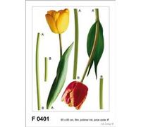 AG Design Autocollant Mural f 0401 autkleber tulipen G