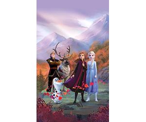 AG Design Elsa avec des Amis sur Une Plate-Forme de Montagne Frozen 2 Disney Rideaux pour Chambre d'enfant, 1 pièce, Multicolore, 140 x 245 cm